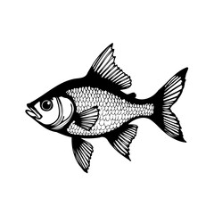 Elegant carp illustration featuring intricate scale details and graceful fin arrangements in a