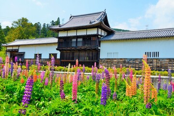 三日月陣屋 物見櫓・長屋・長屋門とルピナス