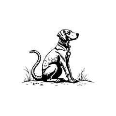 Elegant dog illustration a captivating visual narrative for art prints and decorative black and