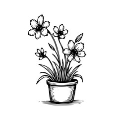 Elegant floral sketch showcasing potted blooms and delicate petals offering decorative botanical
