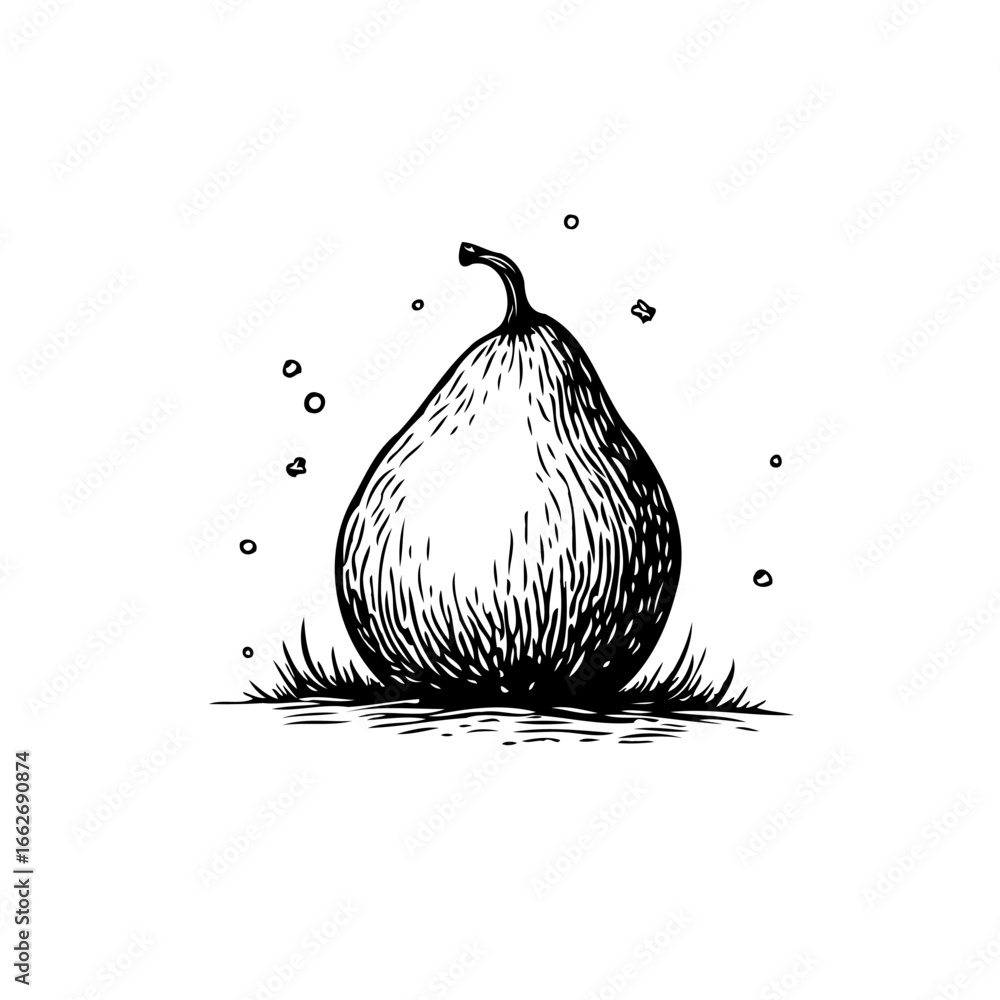 Poster hand drawn pear illustration displaying freshness with detailed lines creating a timeless appeal