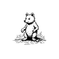 Illustrated charming opossum stands gracefully surrounded by wild grass, a delightful vintage