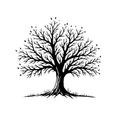 Obraz premium Solitary tree with graceful branches against stark white background symbolising resilience and