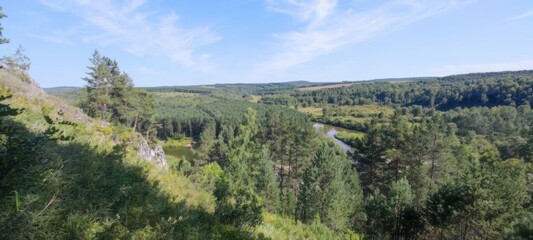 Fototapeta premium Lush Green Forest Landscape with Rolling Hills and a Winding River on a Sunny Day. Scenic Beauty