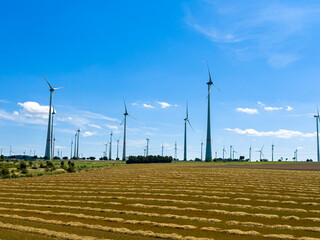 A vast wind farm with towering turbines rises against a blue sky, set among fields, blending modern...