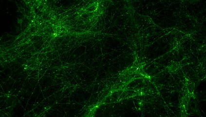 Fototapeta premium Simulation of the cosmic web, showing the large-scale structure of the universe.