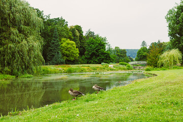 Experience a Tranquil Riverside Scene Filled with Lush Greenery and Calm Waters  A Perfect Nature...