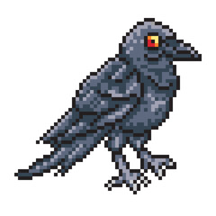 crow raven black bird in pixel art style on isolated white background
