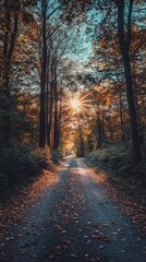 Sunlit path through autumn forest