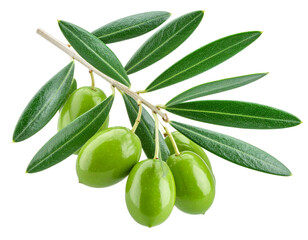 Firefly_Olive branch isolated on transparent background