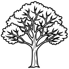 Obraz premium Portia Tree line art vector