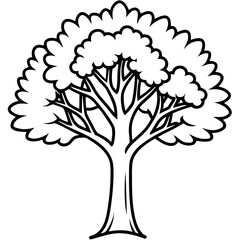 Naklejka premium Portia Tree line art vector