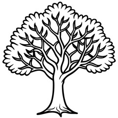 Fototapeta premium Portia Tree line art vector