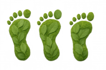 Three green footprints made of grass and leaves symbolize environmental awareness and sustainable living on a transparent background