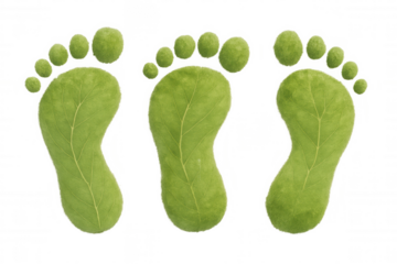 Verdant leaf-crafted footprints representing eco-friendly concept against clean transparent backdrop