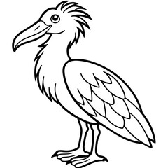 Shoebill line art vector