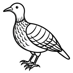 Woodcock line art vector