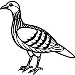 Woodcock line art vector