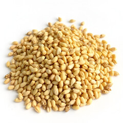 Fototapeta premium Sample of grain used for distilling