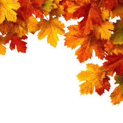 Autumn leaves border (6)