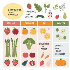 Seasonal produce infographic showing fruits and veggies by season with color codes, icons, timelines, and tips.
