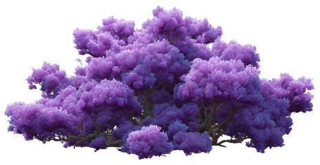 Fototapeta premium A vibrant purple, fuzzy tree cluster
