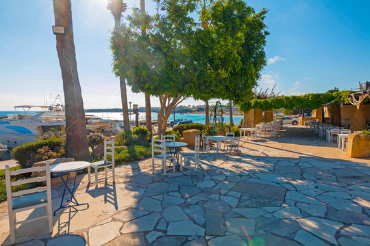Traditional Greek restaurant in Paphos, Cyprus &mdash; whitewashed walls, blue accents, and blooming flowers set the scene for delicious local cuisine in a charming Mediterranean atmosphere.