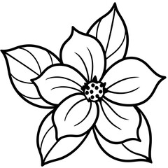 Dogwood line art vector