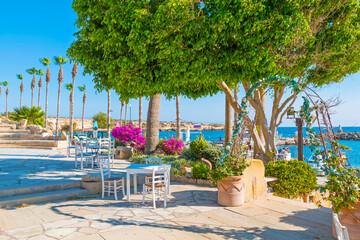 Traditional Greek restaurant in Paphos, Cyprus — whitewashed walls, blue accents, and blooming flowers set the scene for delicious local cuisine in a charming Mediterranean atmosphere.