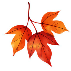 Copy of "Single red maple leaf, isolated on transparent background, realistic watercolor style, high resolution" - 87