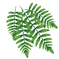 Copy of "Single red maple leaf, isolated on transparent background, realistic watercolor style, high resolution" - 93