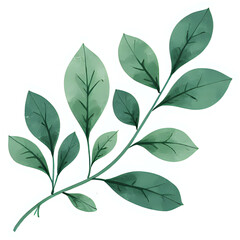 Copy of "Single red maple leaf, isolated on transparent background, realistic watercolor style, high resolution" - 103