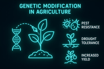 Genetic Modification Benefits and Agricultural Improvement Infographic for Biotechnology