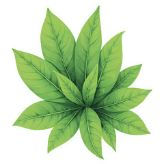 Copy of "Single red maple leaf, isolated on transparent background, realistic watercolor style, high resolution" - 167