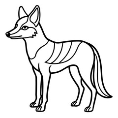 Jackal line art vector