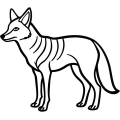 Jackal line art vector