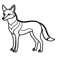 Jackal line art vector