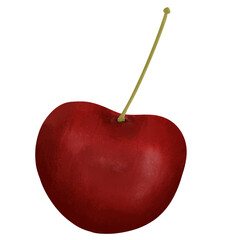 Cherry Illustration