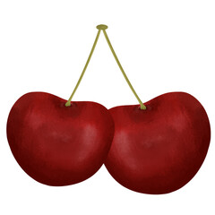 Cherry Illustrations