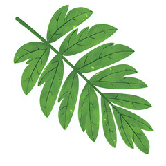  "Single red maple leaf, isolated on transparent background, realistic watercolor style, high resolution" 