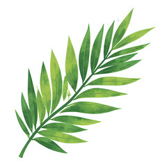  "Single red maple leaf, isolated on transparent background, realistic watercolor style, high resolution" 