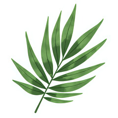  "Single red maple leaf, isolated on transparent background, realistic watercolor style, high resolution" 