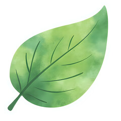  "Single red maple leaf, isolated on transparent background, realistic watercolor style, high resolution" 