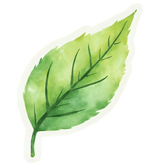  "Single red maple leaf, isolated on transparent background, realistic watercolor style, high resolution" 