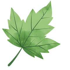 "Single red maple leaf, isolated on transparent background, realistic watercolor style, high resolution" 