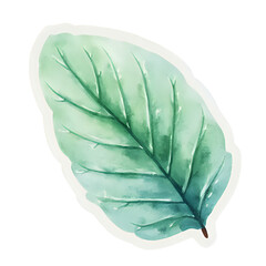  "Single red maple leaf, isolated on transparent background, realistic watercolor style, high resolution" 