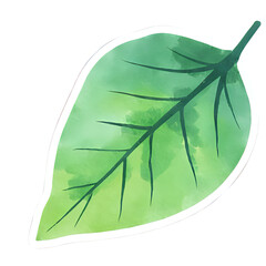  "Single red maple leaf, isolated on transparent background, realistic watercolor style, high resolution" 