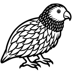 Kakapo line art vector