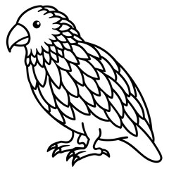 Kakapo line art vector