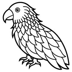 Kakapo line art vector